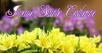 Aperçu de la carte : Joyeuse Sainte Catherine