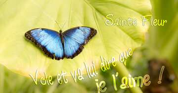 Aperçu de la carte : Vole et va lui dire que je l'aime.  Sainte Fleur