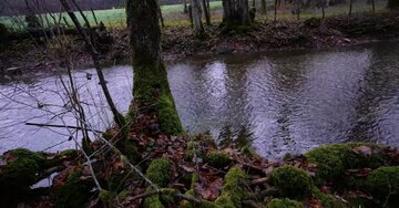 Aperçu de la carte : « Le bonheur est l'expérience spirituelle de vivre chaque minute dans l'amour et la sérénité... »