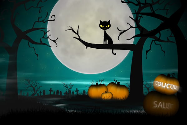 Coucou d'Halloween Chat
