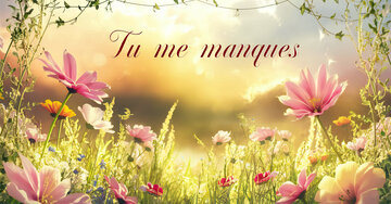 Aperçu de la carte : Tu me manques