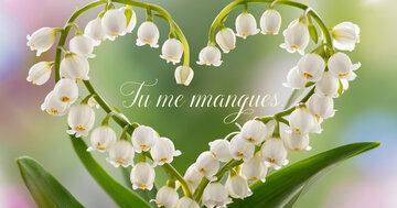 Aperçu de la carte : Tu me manques