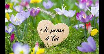 Aperçu de la carte : Je pense à Toi