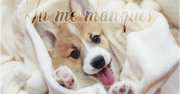 Aperçu de la carte : Tu me manques