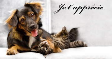 Aperçu de la carte : Je t'apprécie