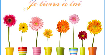 Aperçu de la carte : Je tiens à toi