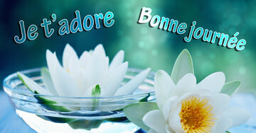 Aperçu de la carte : Je t'adore bonne journée !