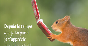 Aperçu de la carte : « Depuis le temps que je te parle, je t'apprécie... »