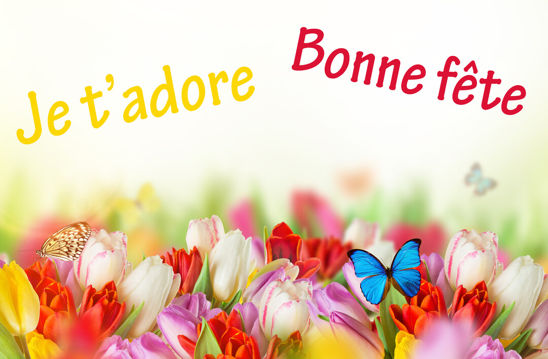 Une scène printanière avec un massif de tulipes multicolores et des papillons, surmontée du texte 'Je t'adore' et 'Bonne fête'.