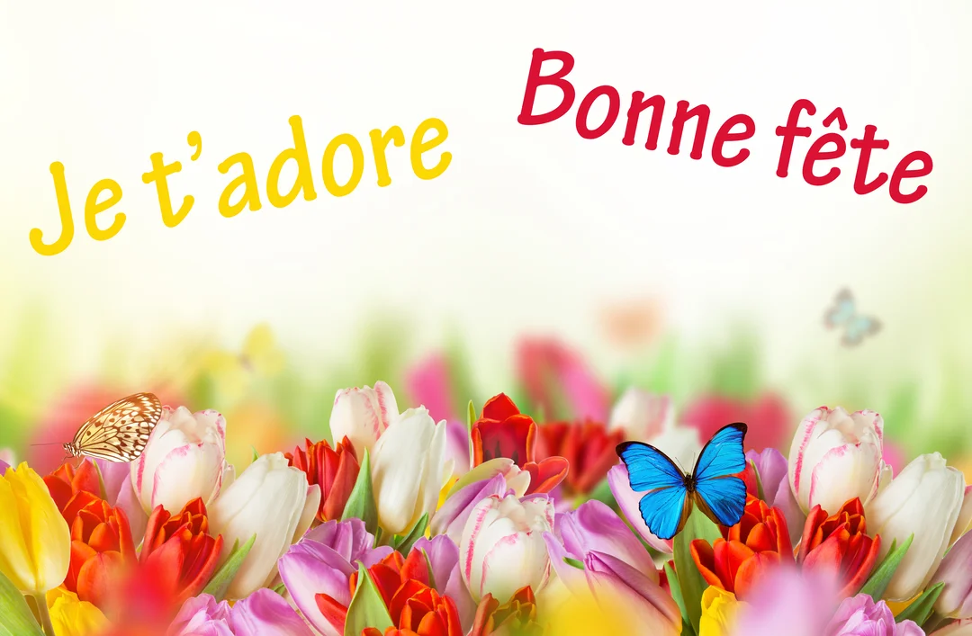 Une scène printanière avec un massif de tulipes multicolores et des papillons, surmontée du texte 'Je t'adore' et 'Bonne fête'.
