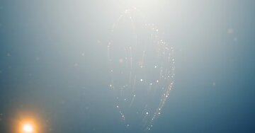 Aperçu de la carte : Avec toute ma tendresse !