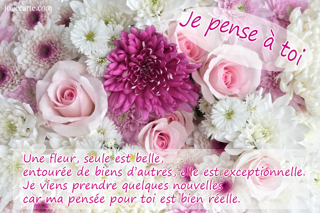 Gros plan sur un bouquet dense de fleurs variées, incluant des roses roses, des chrysanthèmes blancs et un grand chrysanthème magenta au centre.