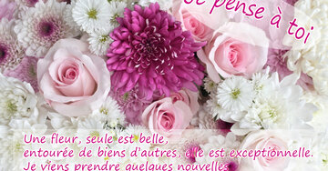 Aperçu de la carte : « Je viens prendre quelques nouvelles car ma pensée pour toi est bien réelle... »