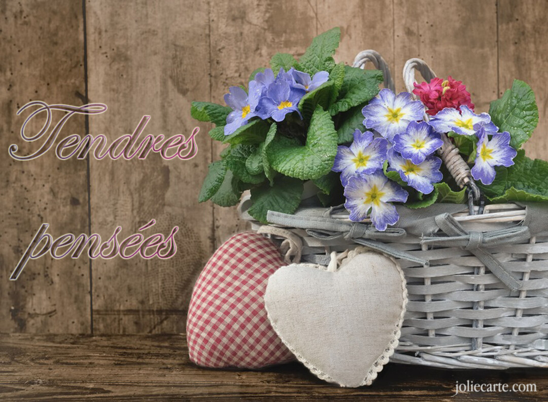 Une composition de style rustique montre un panier de primevères bleues posé à côté de deux cœurs en tissu, avec le texte 'Tendres pensées'.