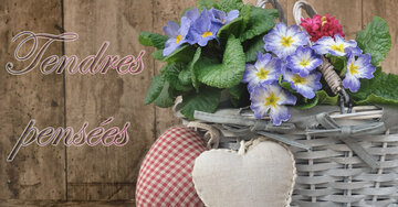 Aperçu de la carte : Tendres pensées