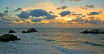 Aperçu de la carte : « Quand le soir tombe, c'est ton doux visage que je vois... »