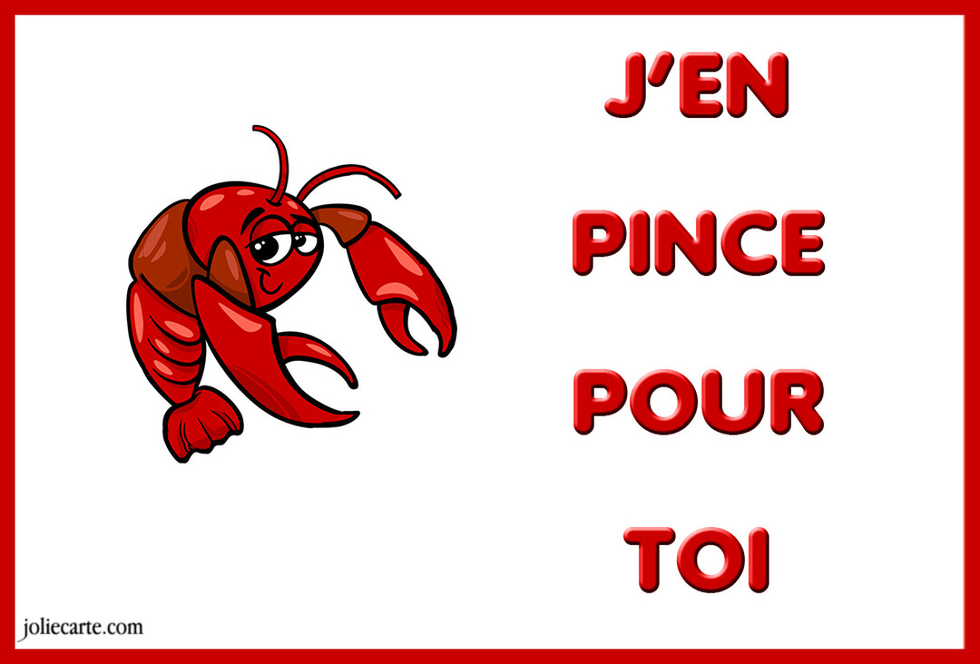Un homard rouge de style cartoon sourit timidement à côté du texte 'J'en pince pour toi', écrit en lettres rouges sur fond blanc.