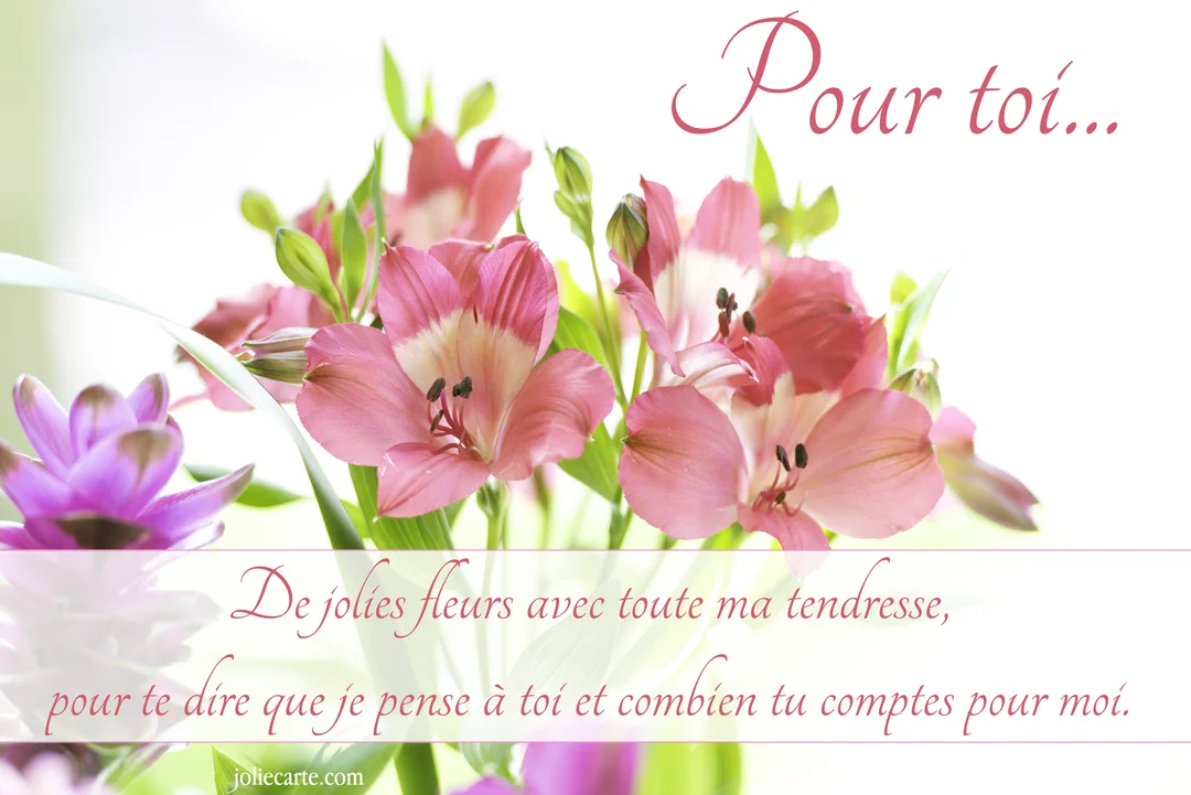 Gros plan sur un bouquet lumineux de fleurs d'alstroemeria roses et de curcuma violet, sur un fond blanc et épuré.