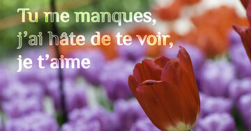 Aperçu de la carte : Tu me manques,
j'ai hâte de te voir,
je t'aime