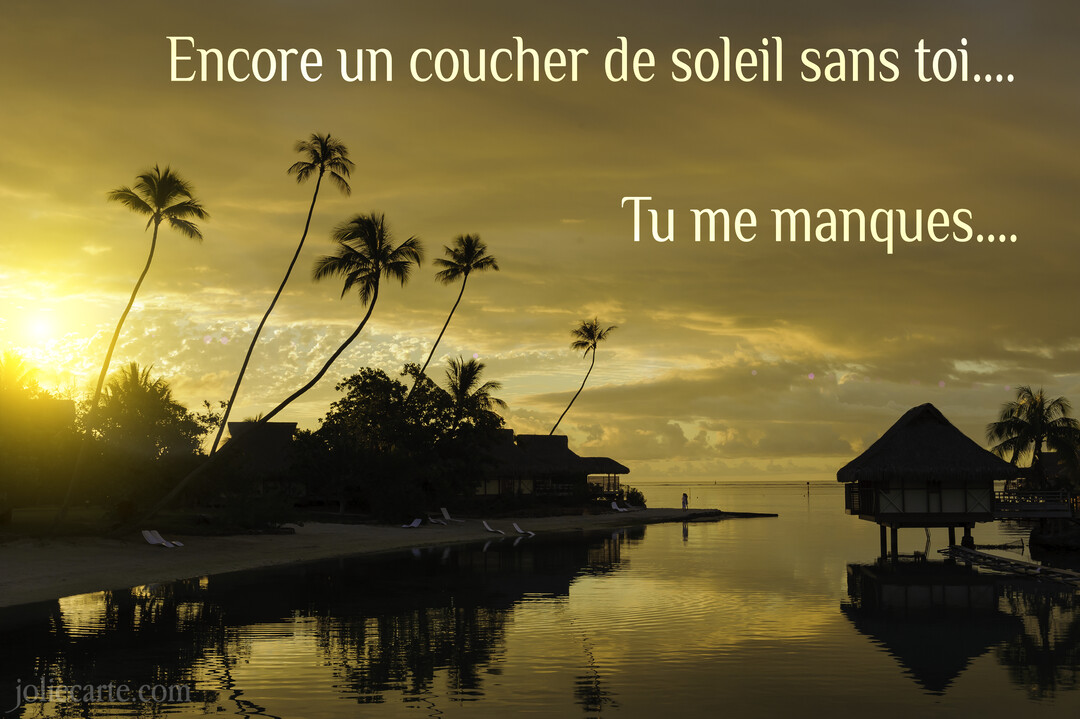 Un paysage de plage tropicale au crépuscule, avec des palmiers en silhouette se reflétant dans l'eau calme près de bungalows sur pilotis.