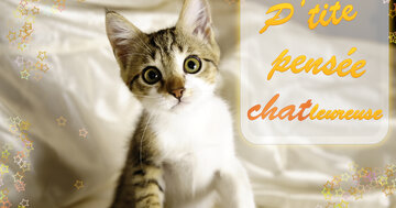 Aperçu de la carte : P'tite pensée chat-leureuse