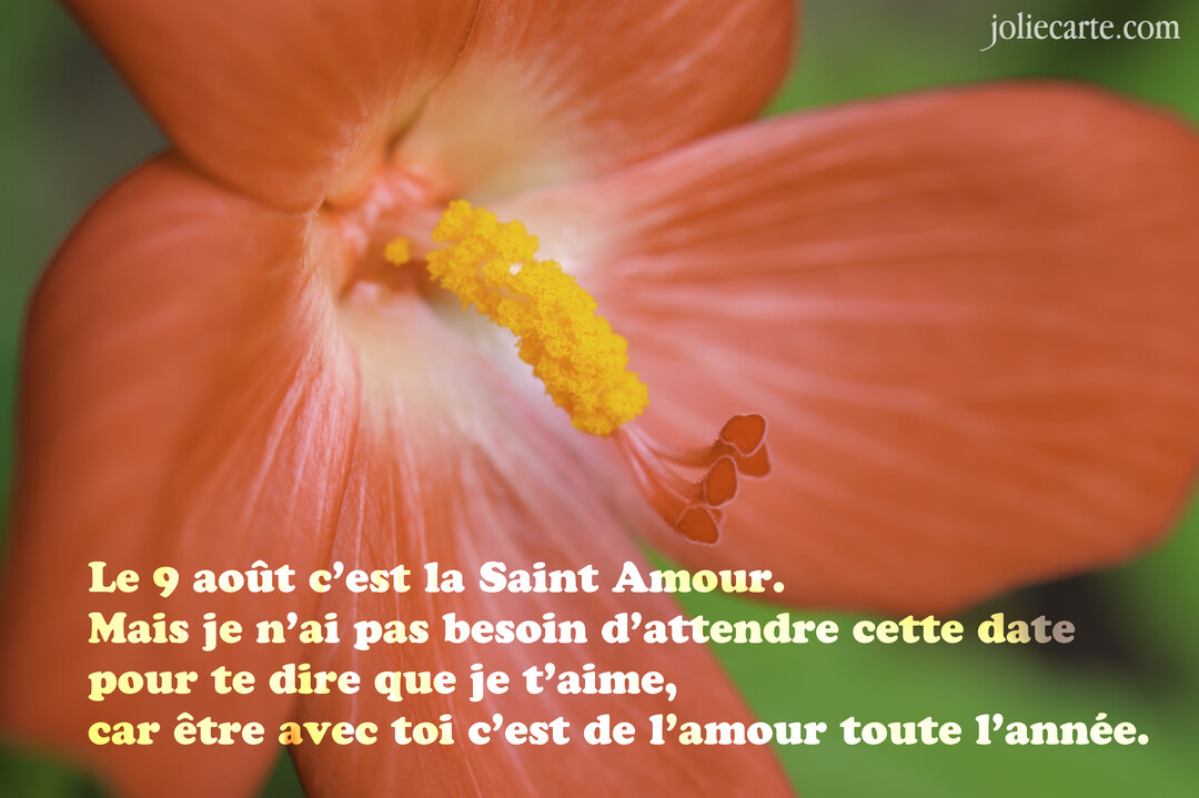 Gros plan sur le cœur d'une fleur d'hibiscus aux pétales rouge-orangé, avec son pistil jaune vif se détachant sur un fond vert doux.