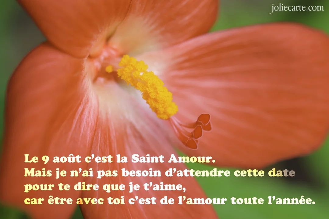 Gros plan sur le cœur d'une fleur d'hibiscus aux pétales rouge-orangé, avec son pistil jaune vif se détachant sur un fond vert doux.
