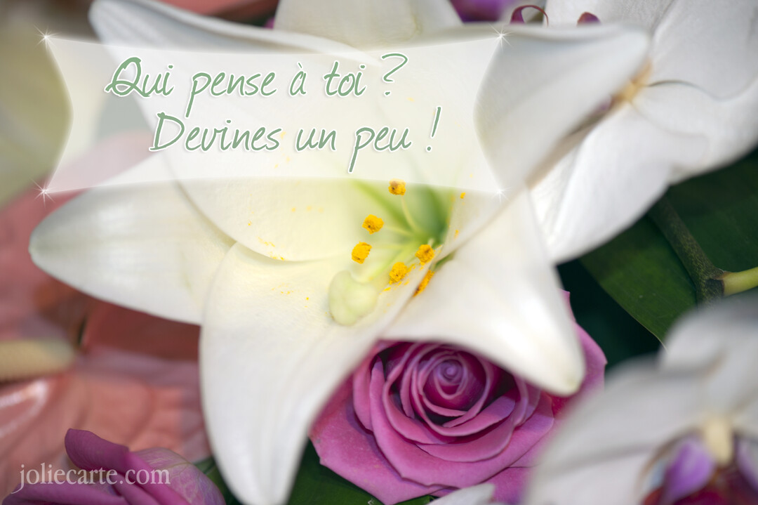 Gros plan photographique d'un bouquet floral, mettant en vedette un lys blanc au pistil jaune vif et une rose violette juste en dessous.