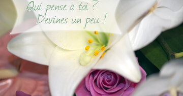 Aperçu de la carte : Qui pense à toi ? Devines un peu !