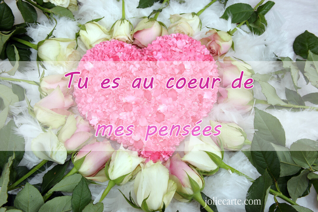 Un cœur composé de pétales de fleurs roses est au centre, entouré d'un cercle de roses pâles et de plumes blanches duveteuses.