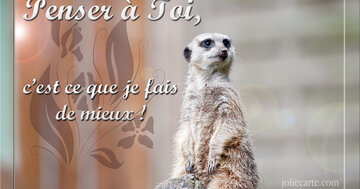 Aperçu de la carte : Penser à toi, c'est ce que je fais de mieux !