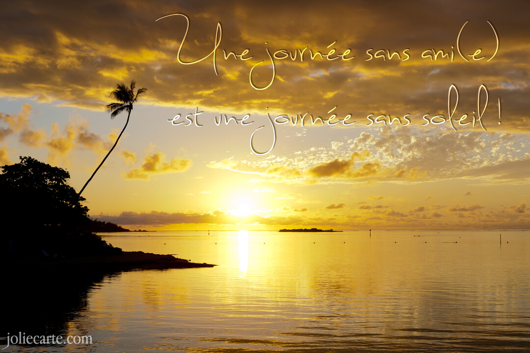 Un coucher de soleil doré se reflète sur l'océan calme, avec la silhouette d'un palmier sur la gauche et un texte manuscrit.