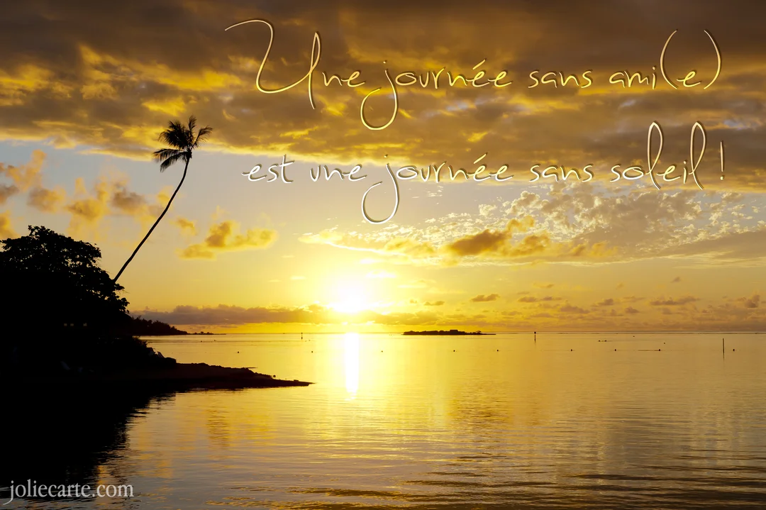 Un coucher de soleil doré se reflète sur l'océan calme, avec la silhouette d'un palmier sur la gauche et un texte manuscrit.