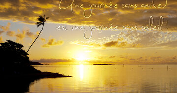 Aperçu de la carte : Une journée sans ami(e) est une journée sans soleil.