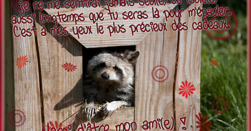 Aperçu de la carte : « je ne me sentirai jamais seul(e) aussi longtemps que tu seras là pour m'épauler... »