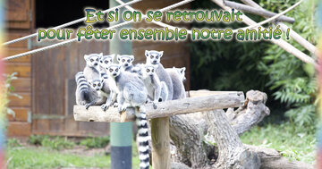 Aperçu de la carte : Et si on se retrouvait pour fêter ensemble notre amitié !