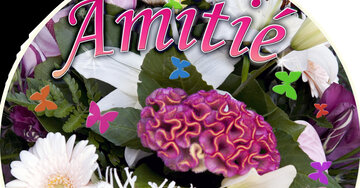 Aperçu de la carte : Amitié