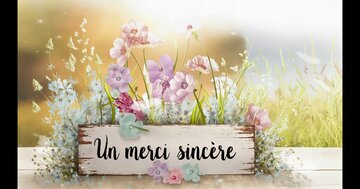 Aperçu de la carte : Un merci sincère