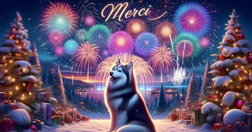 Aperçu de la carte : Merci