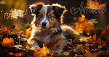 Aperçu de la carte : Merci Amitié