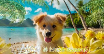 Aperçu de la carte : Merci et bonnes vacances !