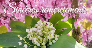 Aperçu de la carte : Sincères remerciements