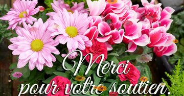 Aperçu de la carte : Merci pour votre soutien.