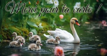 Aperçu de la carte : Merci pour ta carte !