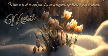 Aperçu de la carte : « Même si tu ne la vois pas, il y aura toujours une lumière... »