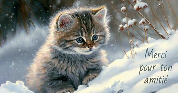 Aperçu de la carte : Merci pour ton amitié