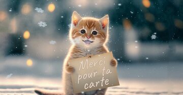 Aperçu de la carte : Merci pour ta carte