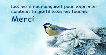 Aperçu de la carte : « Les mots me manquent pour exprimer... »