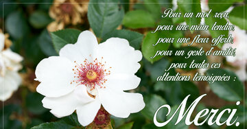 Aperçu de la carte : « Pour un mot reçu, pour une main tendue, pour une fleur... »