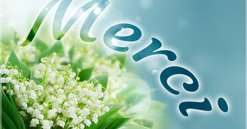 Aperçu de la carte : Merci